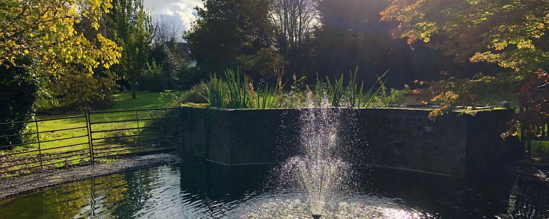 Laurel Care homes pond