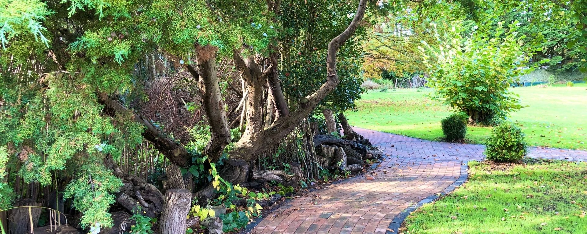 Laurel Care Home garden